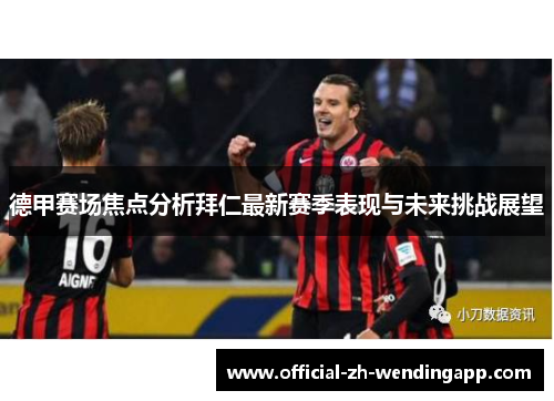 德甲赛场焦点分析拜仁最新赛季表现与未来挑战展望