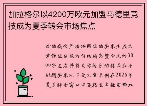 加拉格尔以4200万欧元加盟马德里竞技成为夏季转会市场焦点 加拉格尔以4200万欧元加盟马德里竞技成为夏季转会市场焦点