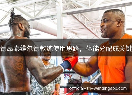 德昂泰维尔德教练使用思路，体能分配成关键